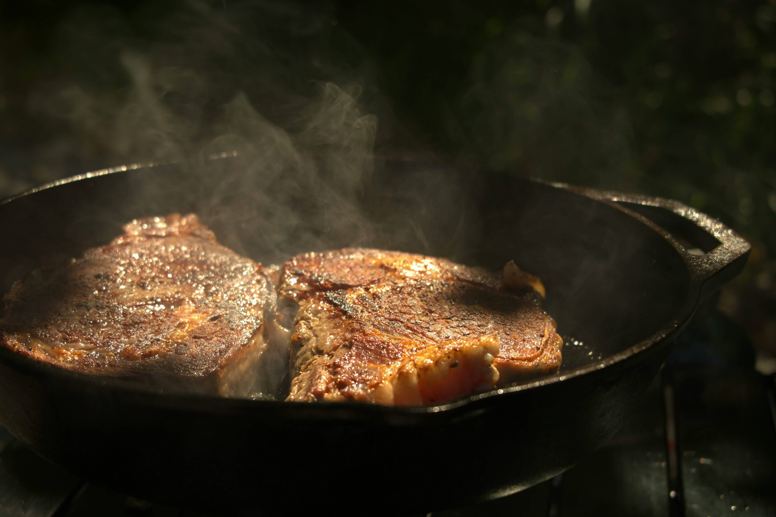 Kangaroo Steak